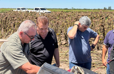 El ataque de palomas reúne a entidades, productores y legisladores en Santa Sylvina