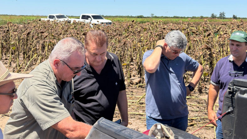 El ataque de palomas reúne a entidades, productores y legisladores en Santa Sylvina