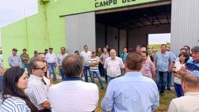 Continuarán las mesas técnicas por el problema de las palomas