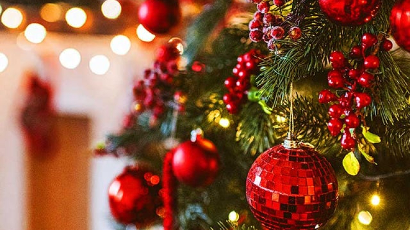 Por qué se arma el arbolito de Navidad cada 8 de diciembre