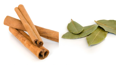 Repelente casero y trucos naturales para el hogar