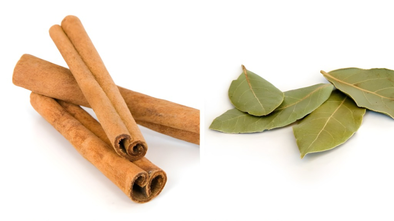 Repelente casero y trucos naturales para el hogar