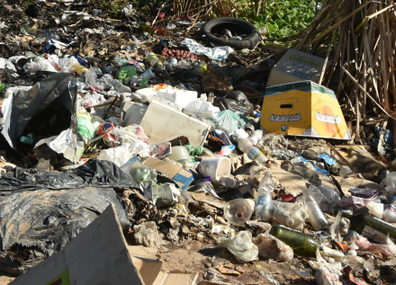 basura2.jpg