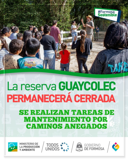 Guaycolec flyer.jpg