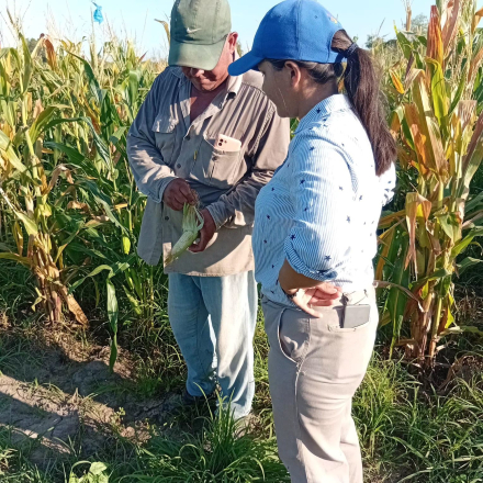 3 Productores paipperos3.jpg