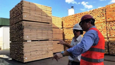 Toda la cadena foresto-industrial demanda respuestas a los poderes públicos