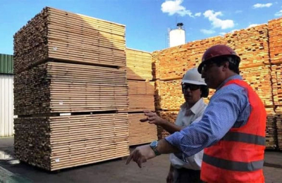 Toda la cadena foresto-industrial demanda respuestas a los poderes públicos
