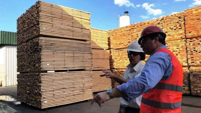 Toda la cadena foresto-industrial demanda respuestas a los poderes públicos