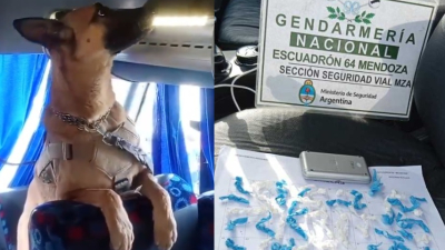 Gendarmería halló droga en micros de hinchas de Independiente Rivadavia
