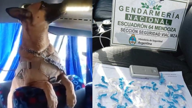 Gendarmería halló droga en micros de hinchas de Independiente Rivadavia