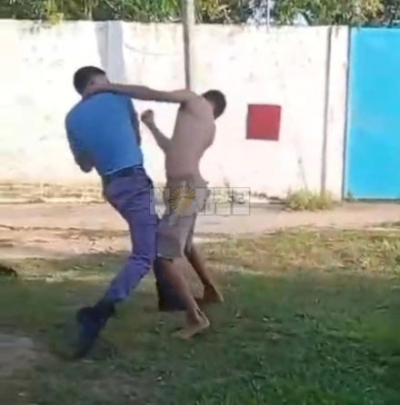 piña.jfif