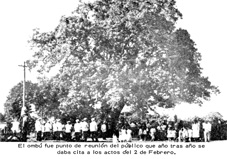 ombú.jpg