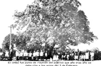 El ombú histórico que cobijó a nuestros primeros inmigrantes