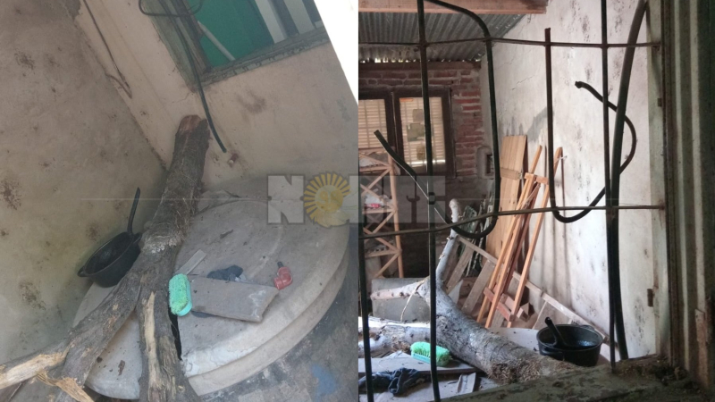 Rompieron la ventana con un tronco y nadie escucho nada