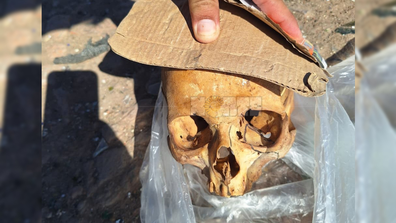 Hallan un cráneo humano en la planta de residuos de Sáenz Peña