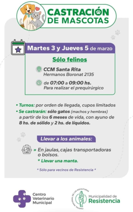 WhatsApp Image 2026-02-26 at 17.00.10.jpeg