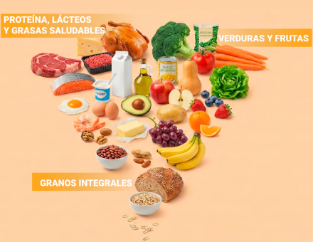 alimentacion02.jpg