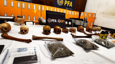 Un cultivador de marihuana escondía una colección de cráneos humanos