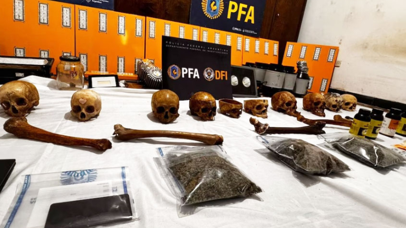Un cultivador de marihuana escondía una colección de cráneos humanos