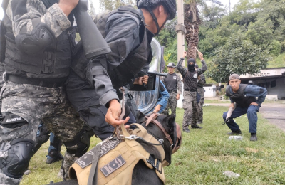 Cómo entrenan a perros de la policía para actuar en situaciones de impacto