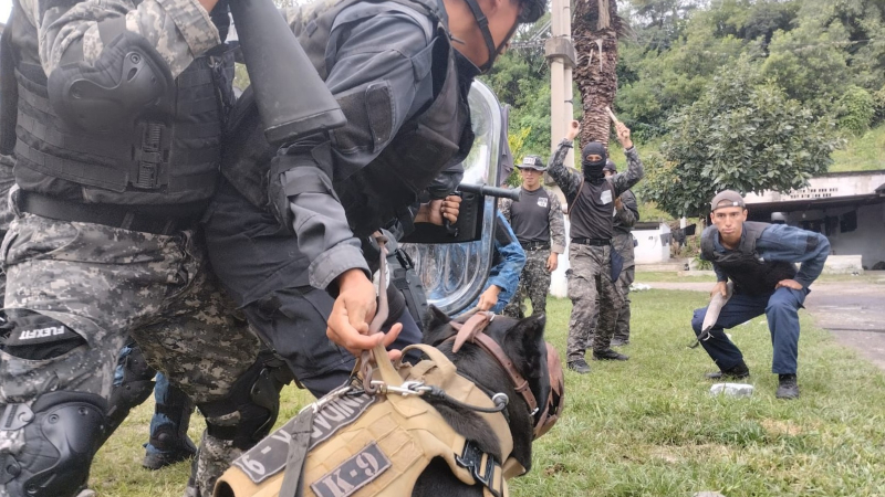 Cómo entrenan a perros de la policía para actuar en situaciones de impacto