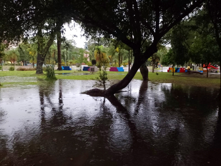 lluvia7