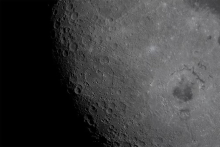 artemis7.jpg