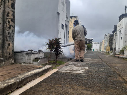 acciones dengue cementerio Virgen del Carmen.jpeg