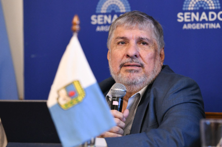 Senadores y senadoras del Norte Grande avanzan con un proyecto para bajar las tarifas de luz en la región (1).jpeg