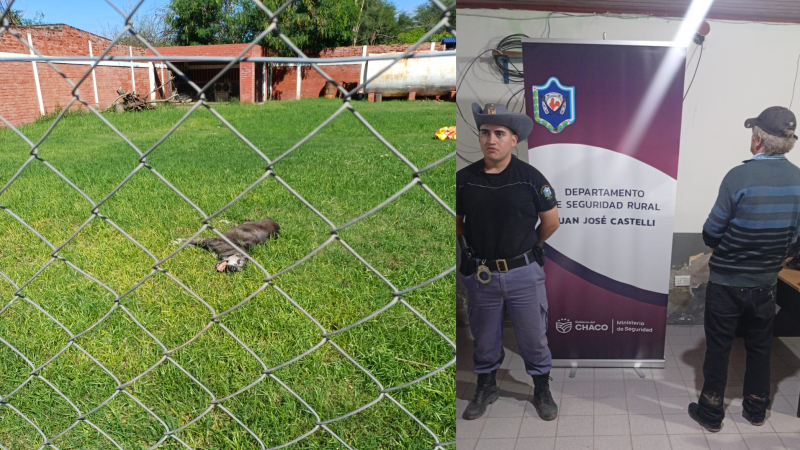 Lo detuvieron por maltratar a sus perros y envenenar a uno