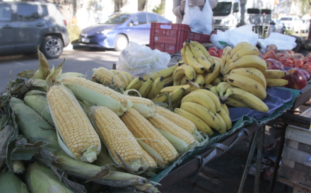 feria.jpg