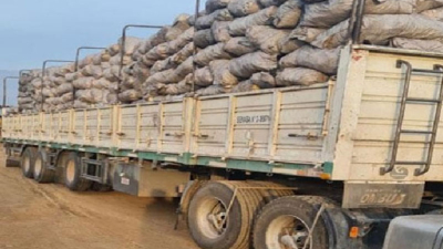 "No hay futuro para el bosque sin una industria tecnificada y rentable"