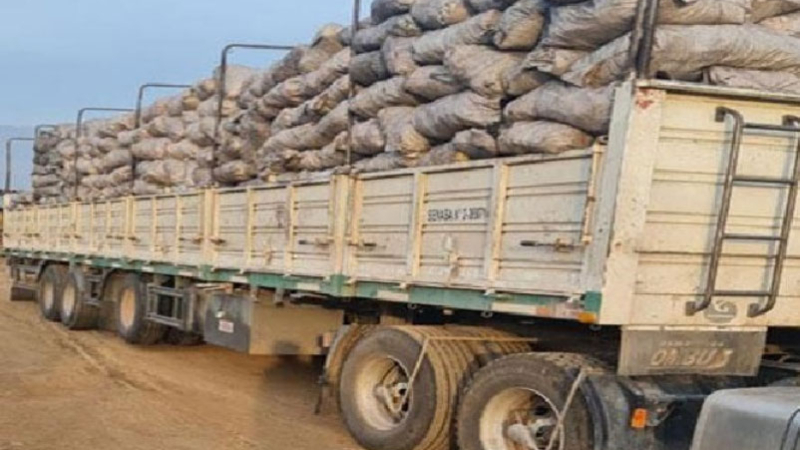 "No hay futuro para el bosque sin una industria tecnificada y rentable"