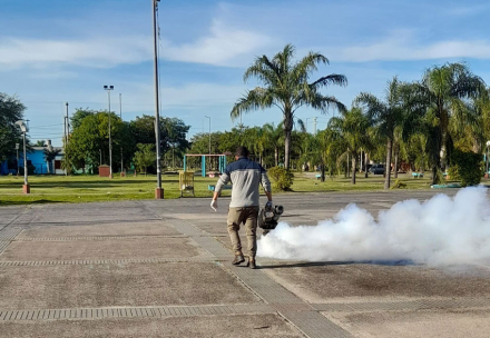 Trabajos-dengue-plazas-San-Martín-y-La-Nueva-Formosa-(4)