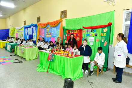 FERIA DE CIENCIAS, INSTANCIA INSTITUCIONAL EN LA EPEP 82 (3)