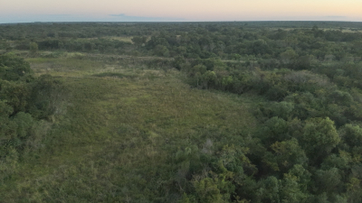 Hallaron el celular de Jonathan Blanco y refuerzan los rastrillajes con drones y perros