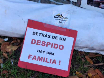 nicora1