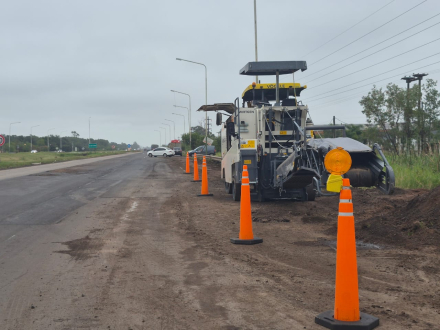 BACHEO 4