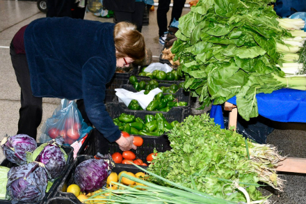 productos que se ofrecen en la feria paippera