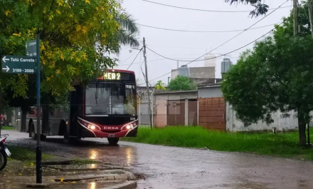 Lineas 2 y 0106