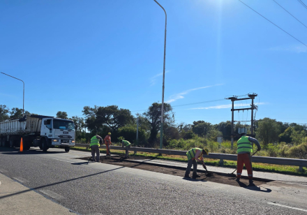 BACHEO 13