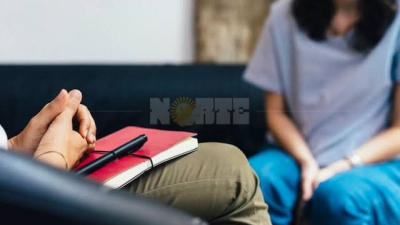 Lo que costó el veto a la ley de salud mental