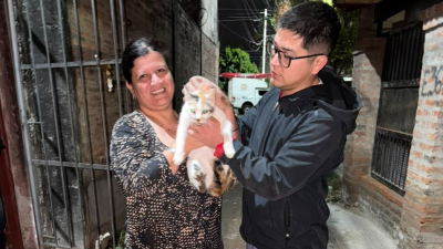 Una gatita fue rescatada del desagüe de una vivienda