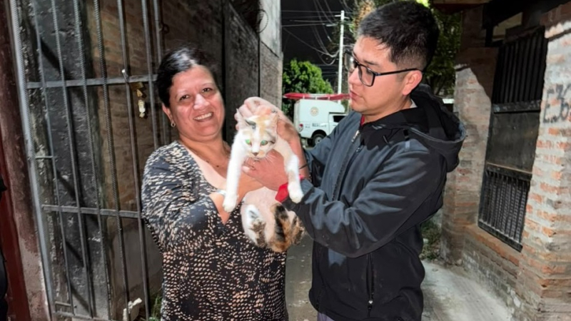 Una gatita fue rescatada del desagüe de una vivienda