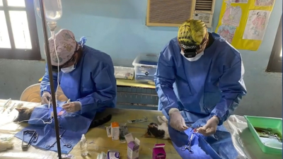 Veterinarios Amigos de El Impenetrable preparan un nuevo operativo solidario