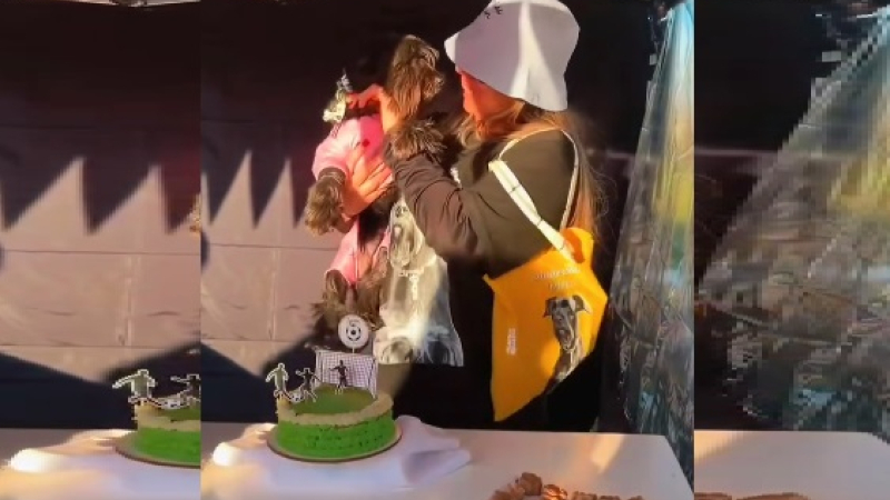 En el cumpleaños de Tyron se reunirá ayuda para refugios de animales en Resistencia