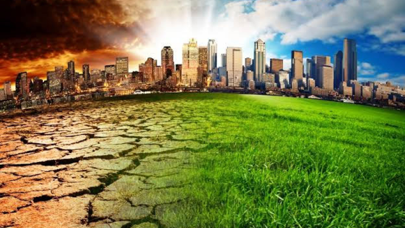 La estabilidad perdida: la crisis climática obliga a las ciudades a buscar sombra y al océano a convertirse en piedra