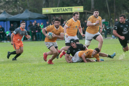 rugby