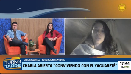 yaguarete