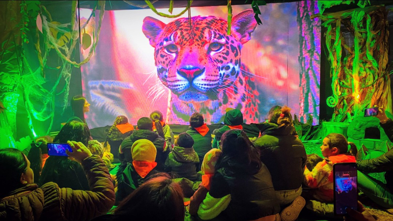Niños y niñas disfrutaron de la experiencia inmersiva Guardianes del Monte Chaqueño
